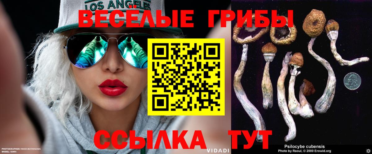 Галлюциногенные грибы мухоморы Лениногорск