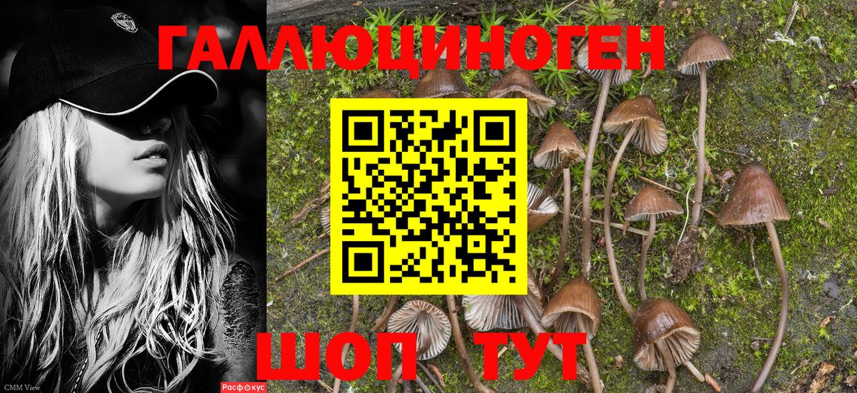 Псилоцибиновые грибы Psilocybine cubensis  Вход с VPN  Лениногорск  Галлюциногенные грибы Psilocybine cubensis 